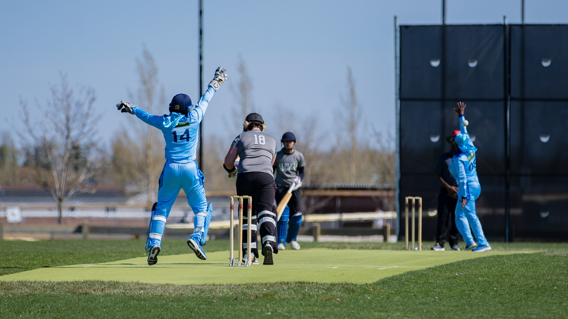 Women's Cricket Huskies host Strikers in inaugural matches